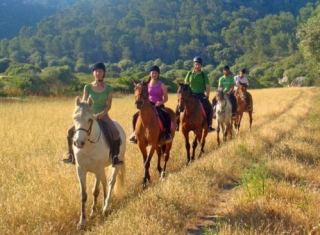 Excursiones en grupo